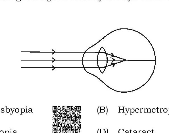 Question 2 image