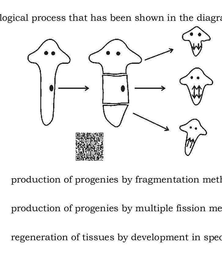 Question 28 image