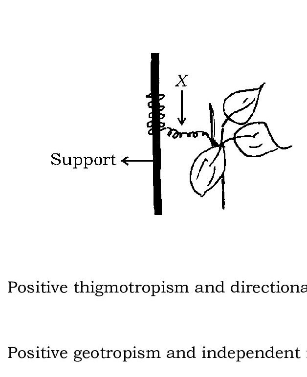 Question 28 image