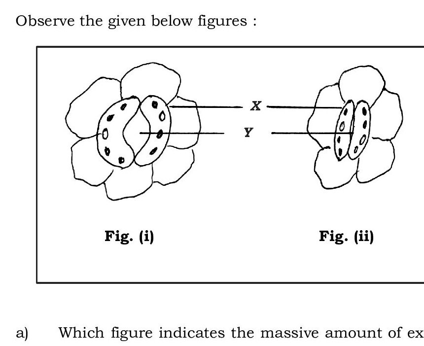Question 40 image