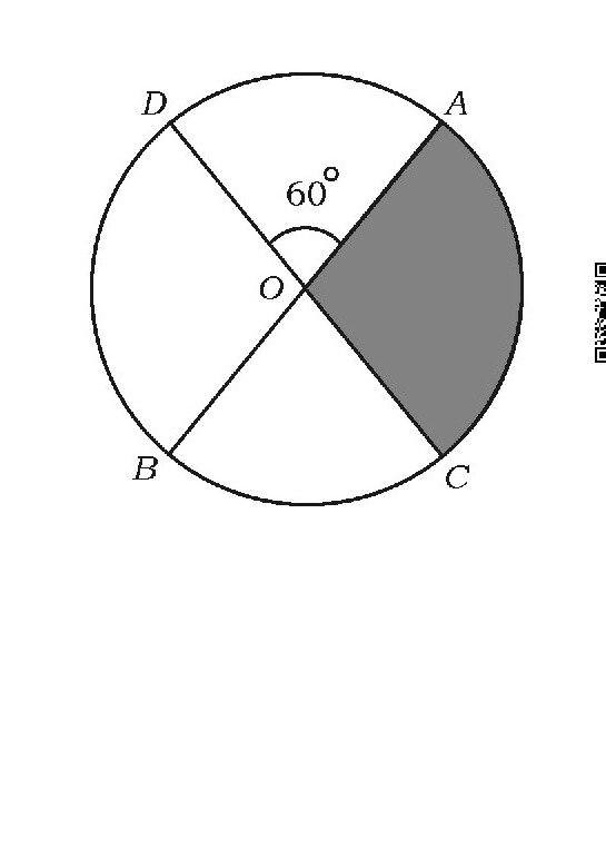 Question 41 image
