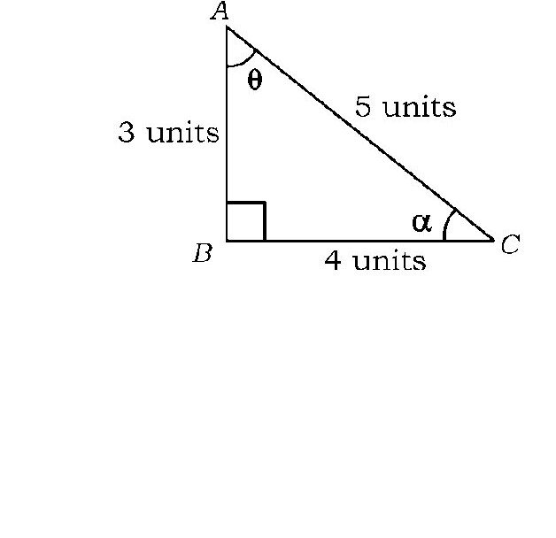 Question 17 image