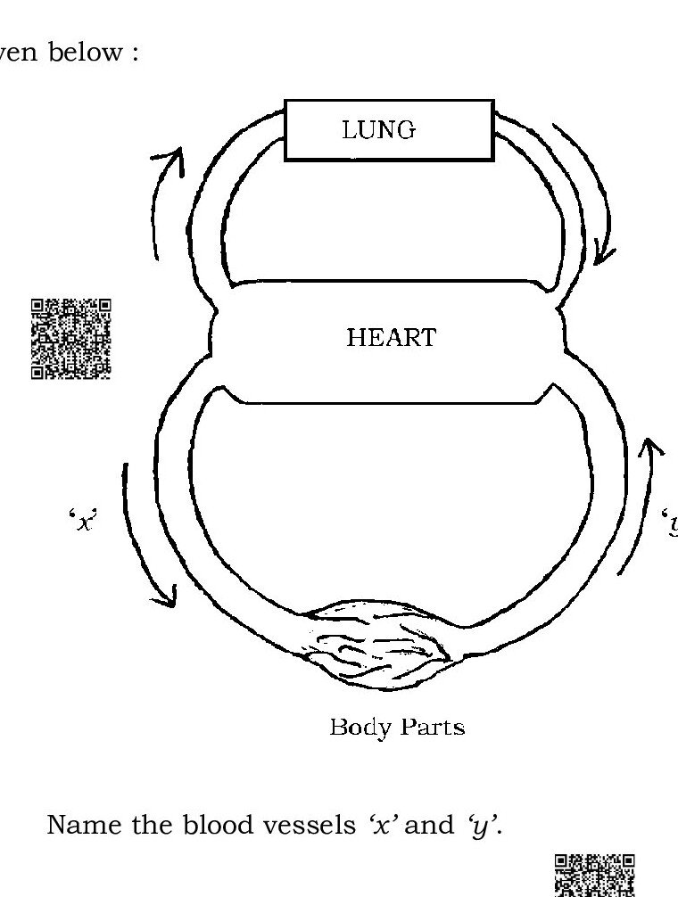 Question 30 image