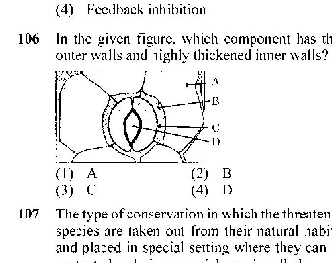 Question 106 image