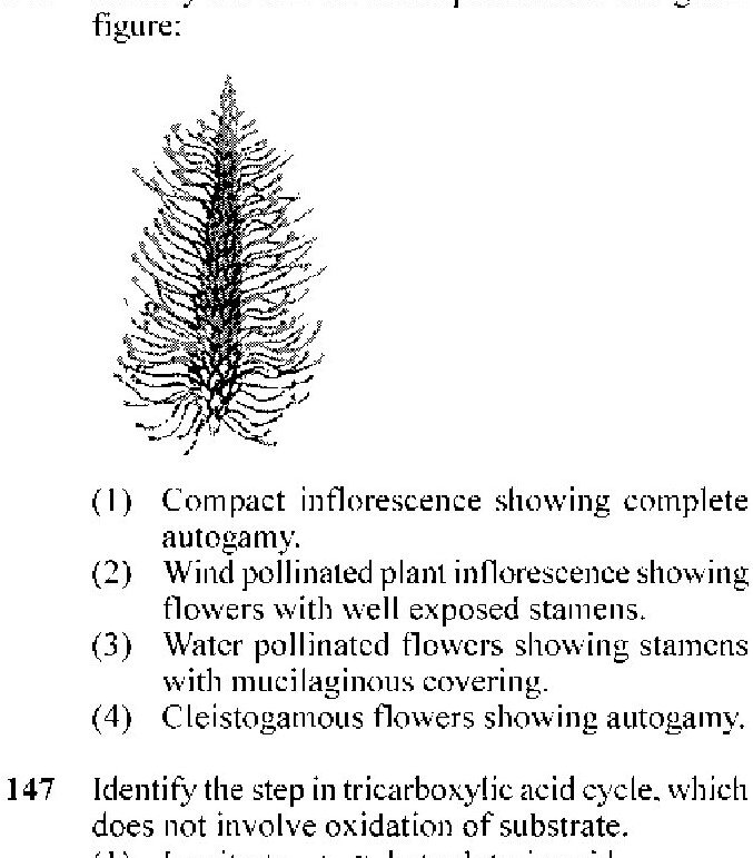 Question 146 image