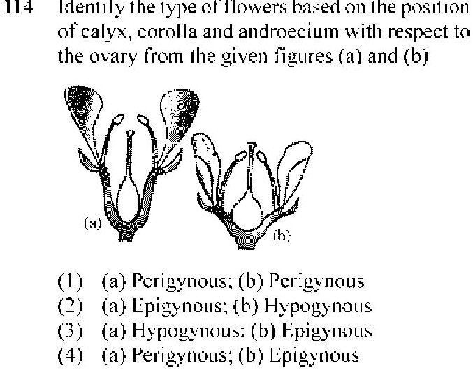 Question 114 image