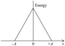 Choice B image