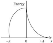 Choice D image