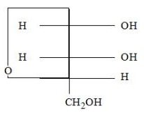 Choice B image