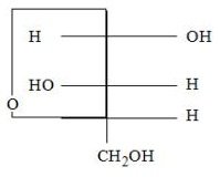 Choice D image