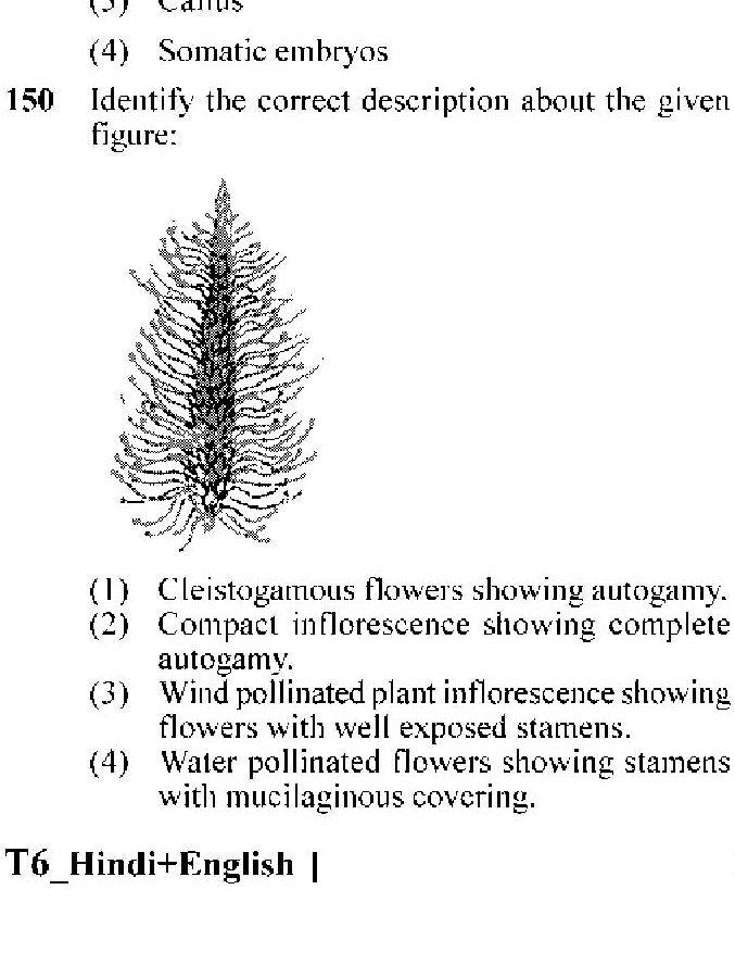 Question 150 image